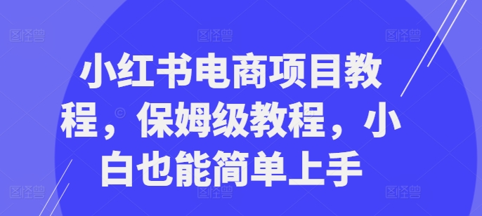 （10300期）小红书电商项目教程，保姆级教程，小白也能简单上手